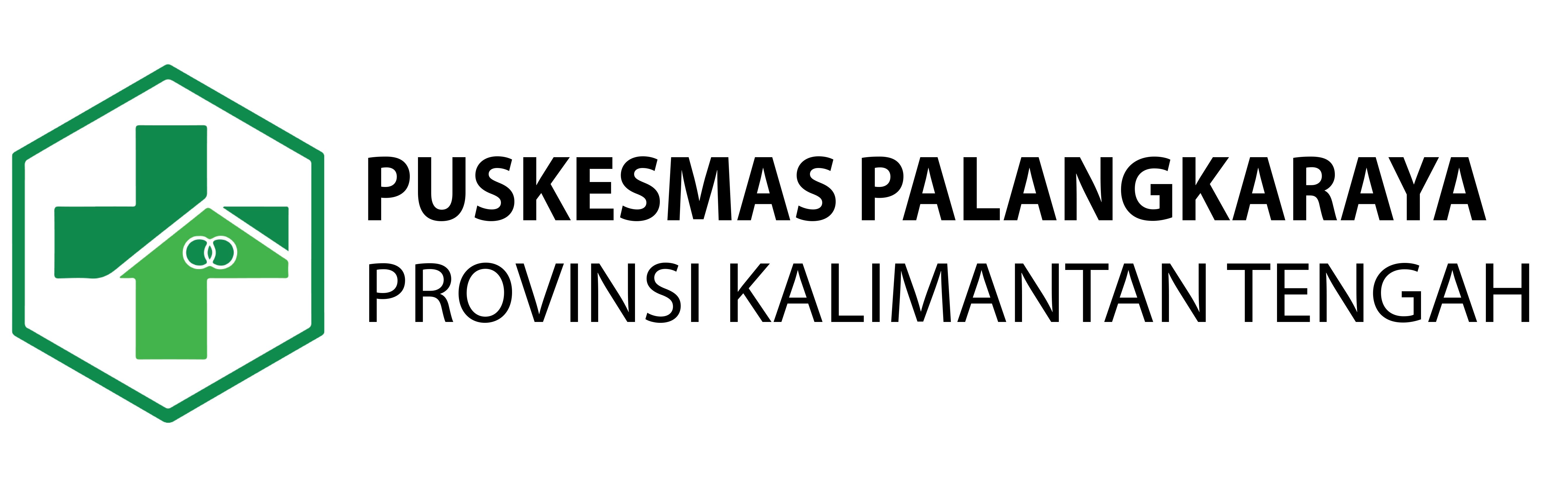 Logo Puskesmas